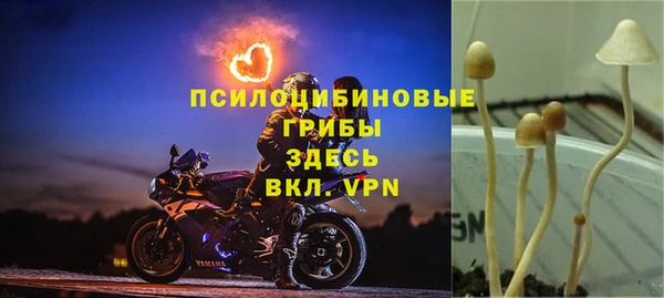гашик Бугульма