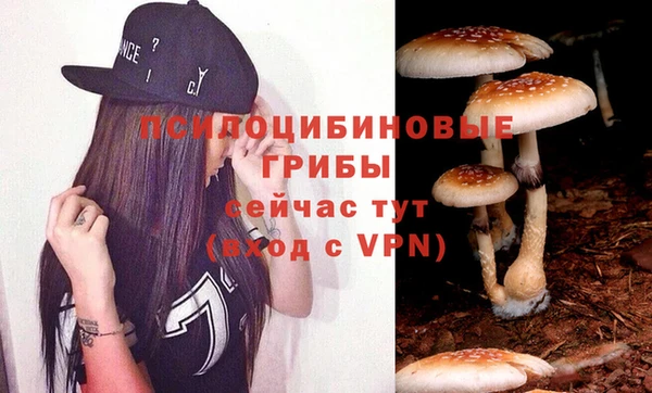 гашик Бугульма